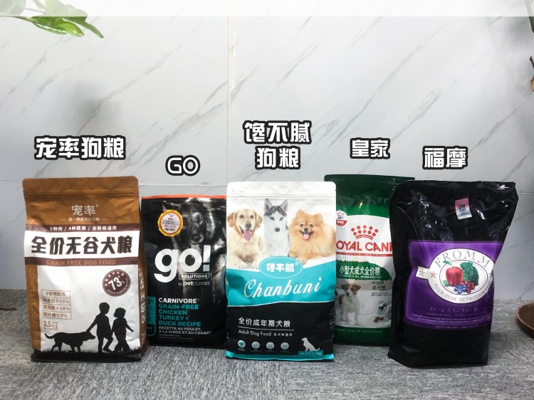 寿命不长的巴哥犬会有这4个特点你家狗有吗