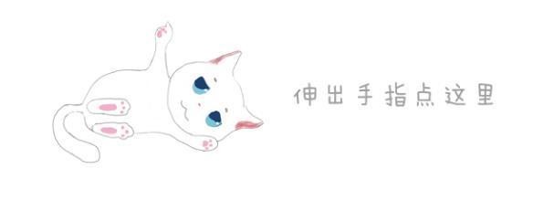 爱猫能有多深？猫深陷墙缝，主人哭着求助：没有它我活不下去